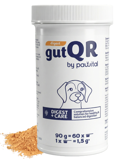 gutQR Digest - Probiotika & Ballaststoffe für eine schnelle Unterstützung der Verdauung Ihres Hundes