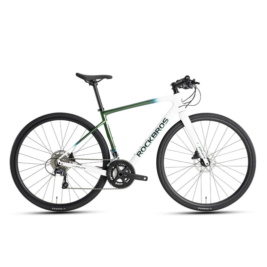 RND - SHIMANO TIAGRA R4700 Rennrad - Farbverlauf in Grün / L(700C*473)