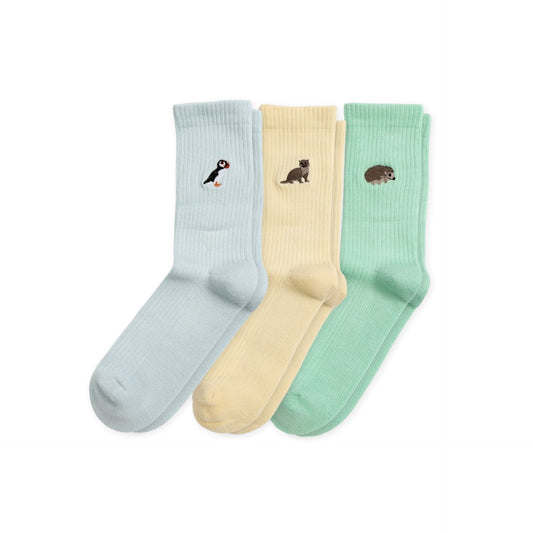 Ribbed Summer Sorbet Collection 3 Pack | UK Adult 4-7