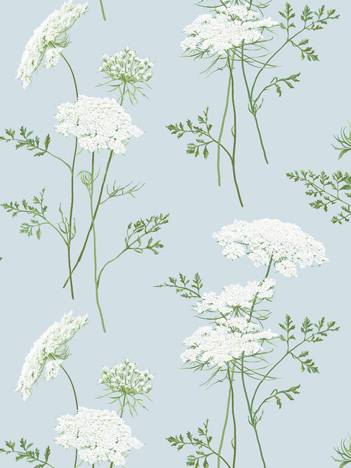 'The Queen's Lace' Wallpaper by Sarah Jessica Parker - Misty Blue - Traditional / 27 in. x 27 ft.