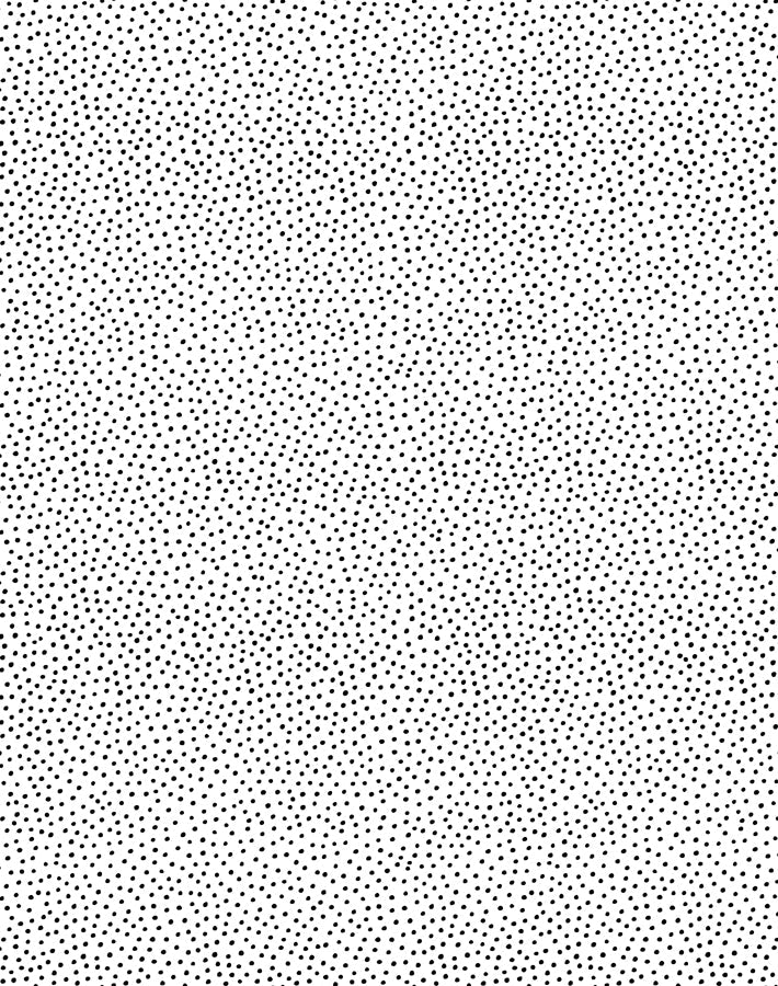 'Pebble' Wallpaper by Sugar Paper - Black on White - Removable Panel