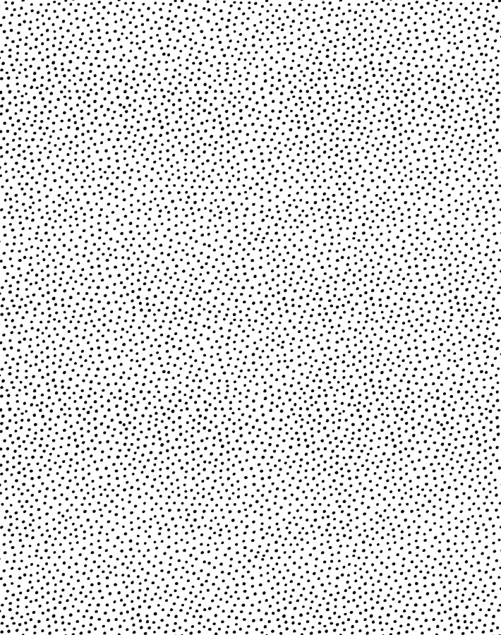 'Pebble' Wallpaper by Sugar Paper - Black on White - Removable Panel