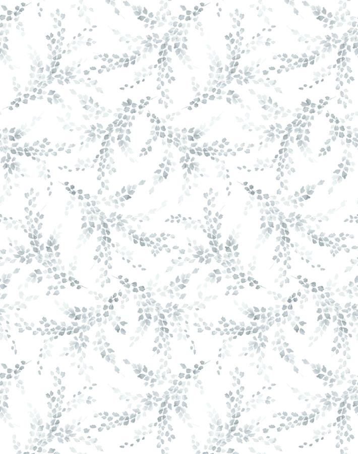 'Sweet Caroline' Wallpaper by Wallshoppe - Fog - Traditional / 27 in. x 27 ft.
