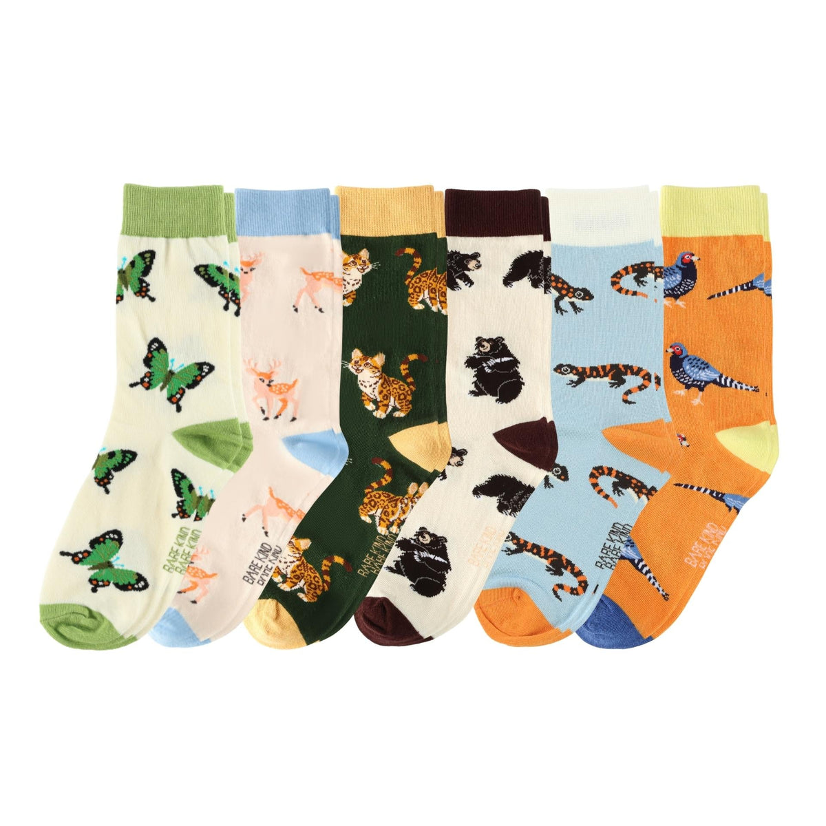 Taiwanese Wildlife Range Bundle of 6 | UK Adult 7-11