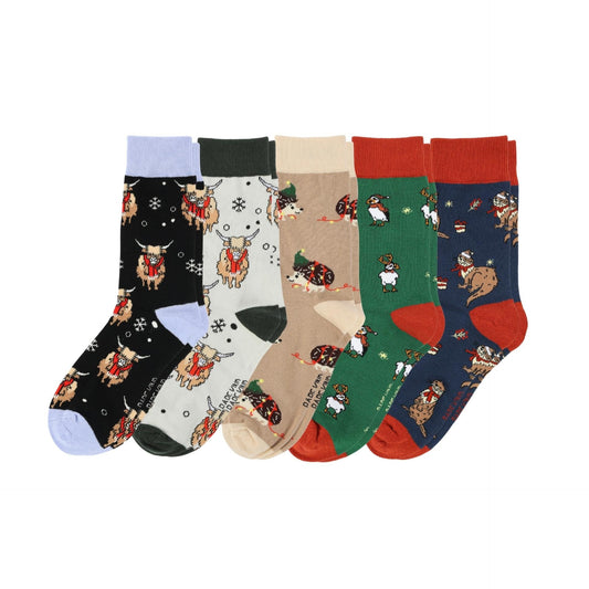 The Christmas Rainbow Bundle of 5 | UK Adult 7-11