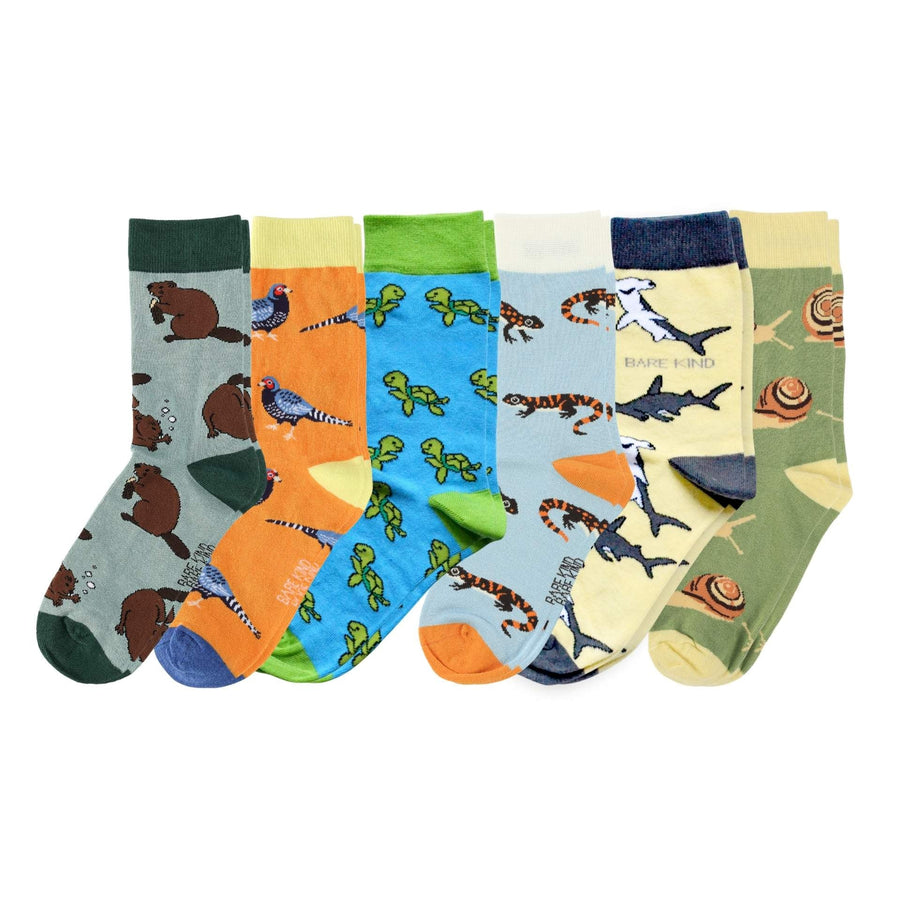The Classes Bundle of 6 | UK Adult 7-11