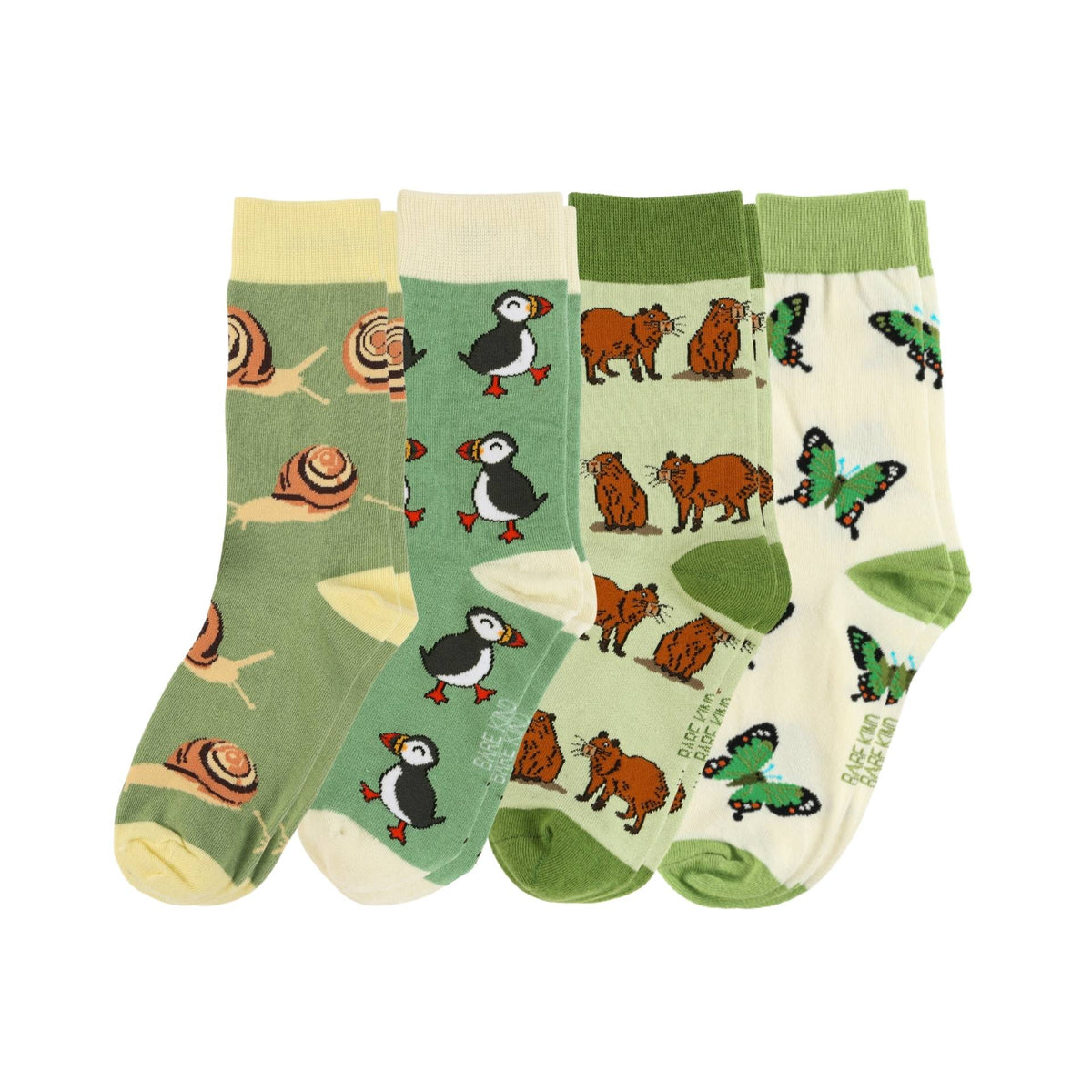 The Evergreen Bundle of 4 | UK Adult 4-7