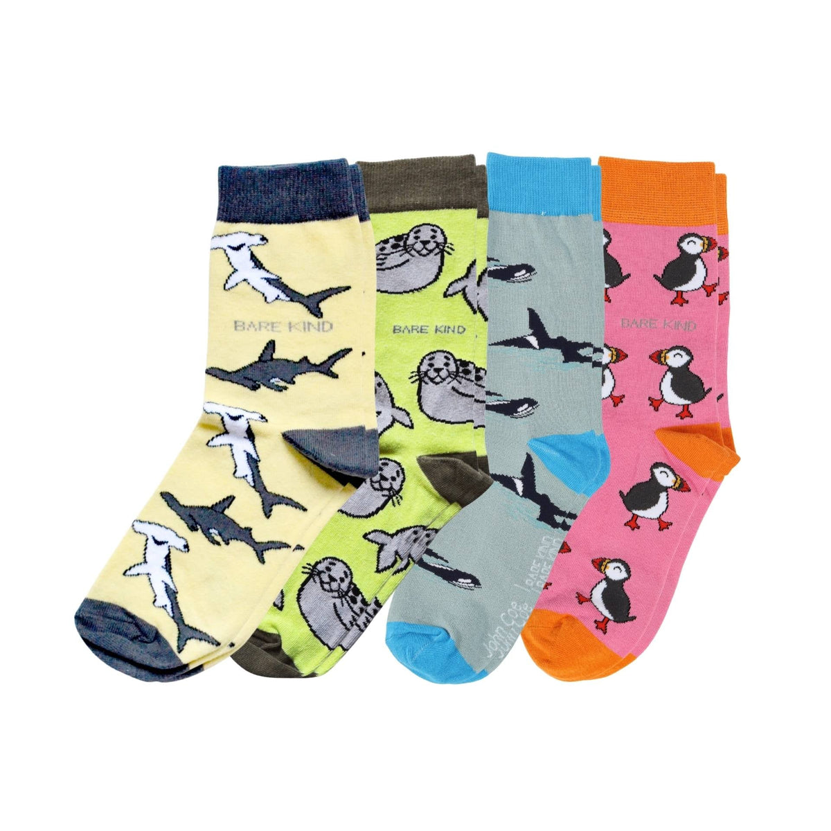 The Ocean Rainbow Bundle of 4 | UK Adult 4-7