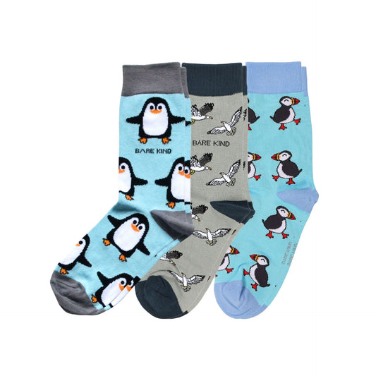 The Seabird Bundle of 3 | UK Adult 7-11