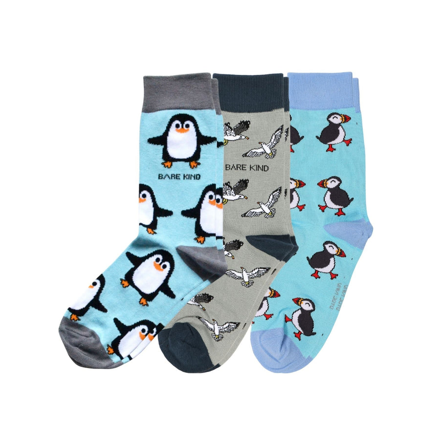 The Seabird Bundle of 3 | UK Adult 7-11