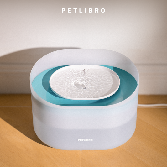 Petlibro Capsule Dog Fountain, Capsule & 4 Filters