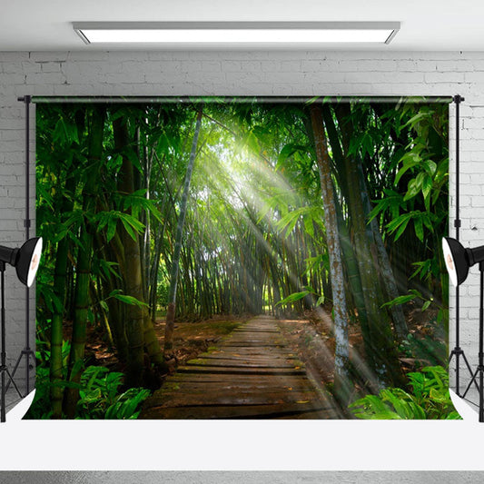 Bamboo Forest Wooden Path Sunlight Spring Backdrop - Aperturee