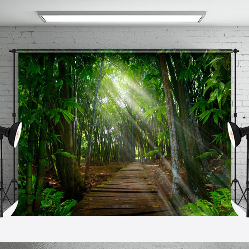 Bamboo Forest Wooden Path Sunlight Spring Backdrop - Aperturee