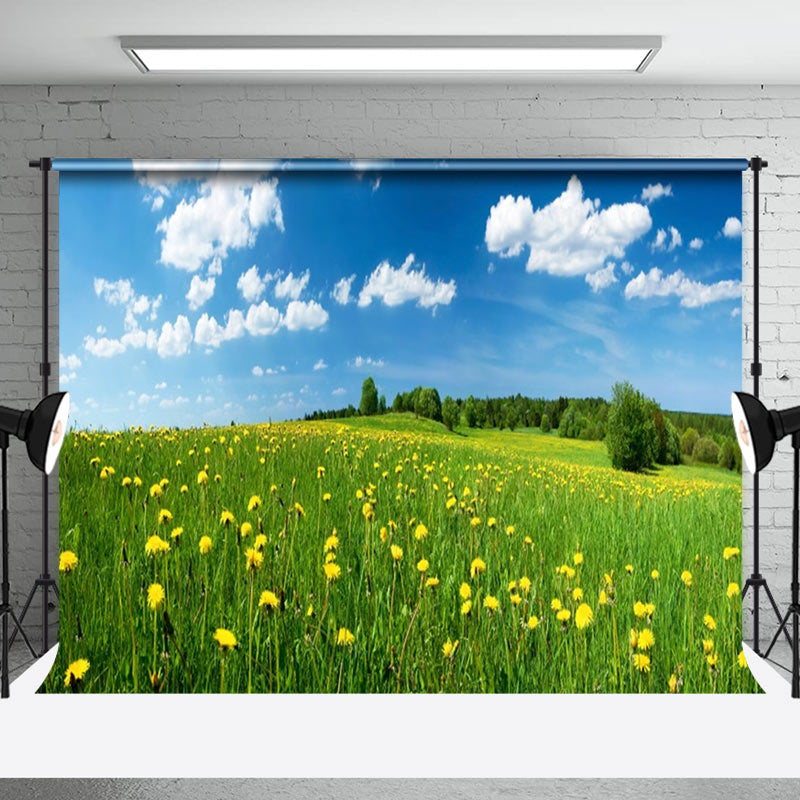 Chrysanthemum Cloudless Day Sky Green Spring Backdrop - Aperturee