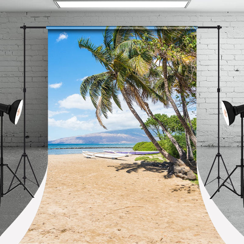 Sunshine Beach Boat Trees Sweep Photoshoot Backdrop - Aperturee