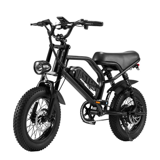 AVDL A13 250W Electric Fat Tire Bike, 16-Inch Frame, 460Wh Battery