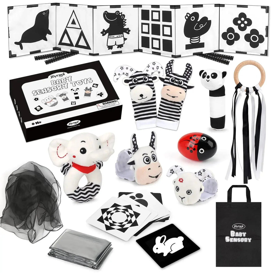 Black & White Sensory Toys for Newborns 0-6M