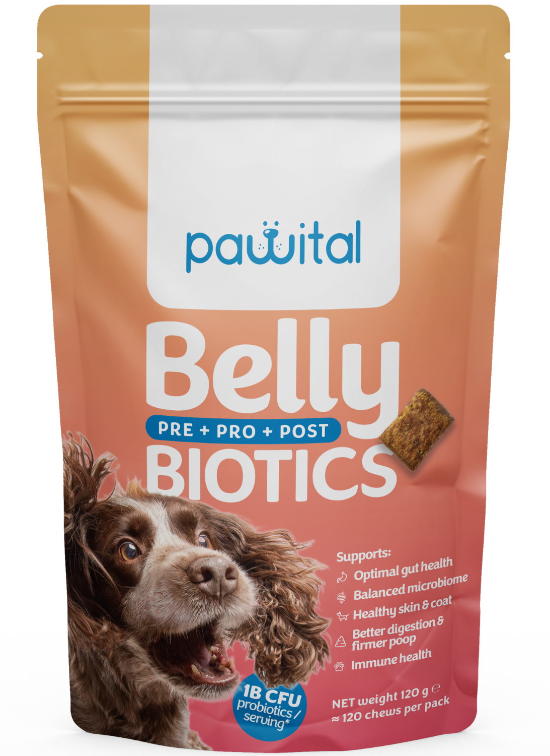 Pawital Belly Biotics - 1 Mrd. KBE Probiotika, Präbiotika und Postbiotika für die Darmgesundheit, Immunität und Haut & Fell Ihres Hundes