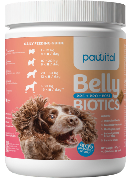 Pawital Belly Biotics – 360 Snacks, 1 Mrd. KBE Probiotika, Präbiotika und Postbiotika für Darmgesundheit, Immunsystem und Haut & Fell Ihres Hundes