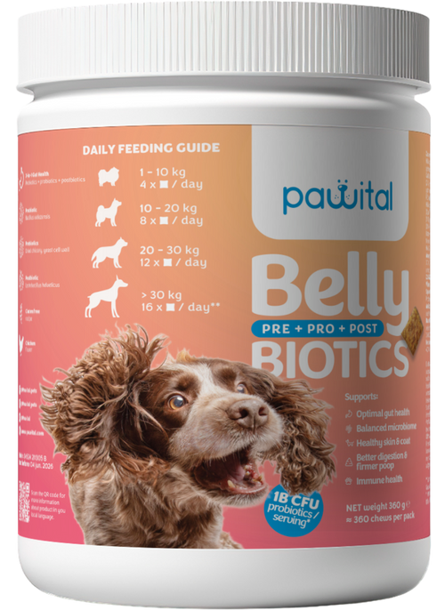 Pawital Belly Biotics – 360 Snacks, 1 Mrd. KBE Probiotika, Präbiotika und Postbiotika für Darmgesundheit, Immunsystem und Haut & Fell Ihres Hundes