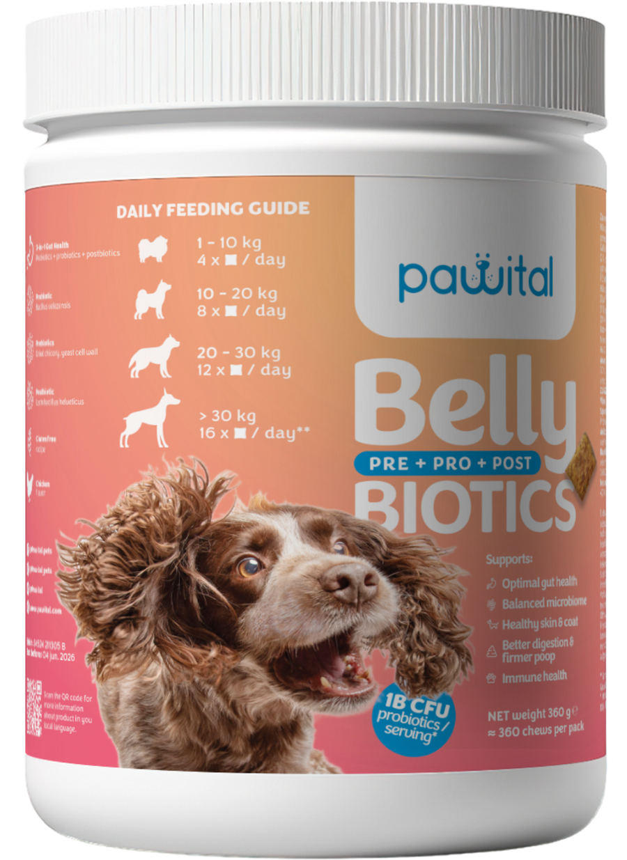 Pawital Belly Biotics – 360 Snacks, 1 Mrd. KBE Probiotika, Präbiotika und Postbiotika für Darmgesundheit, Immunsystem und Haut & Fell Ihres Hundes