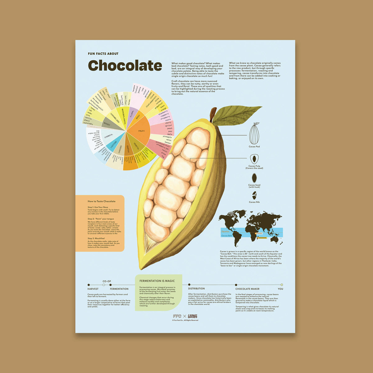 Chocolate Fun Facts Print - 12x16" / Unframed