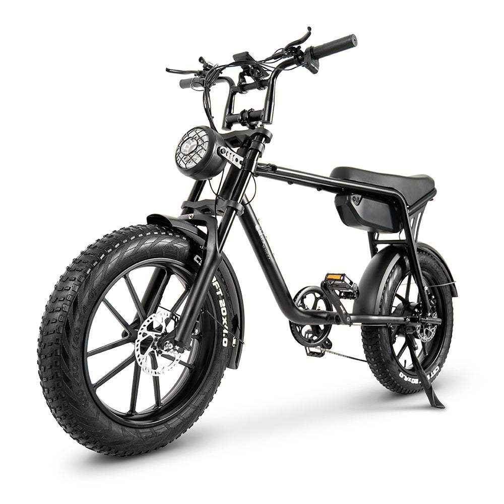 CMACEWHEEL K20 750W 20-Inch Fat Tire Electric Mountain Bike with 48V 17Ah 816Wh Battery