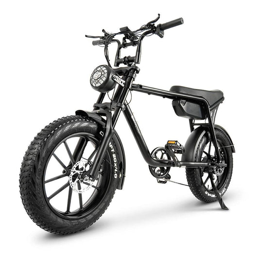 CMACEWHEEL K20 750W 20-Inch Fat Tire Electric Mountain Bike with 48V 17Ah 816Wh Battery