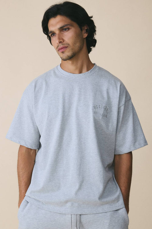 Men's 280GSM Heavyweight Essential Embroidered Oversized T-Shirt | Grey | Size Large | BOOHOOMAN