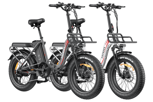 EU-Combo F20 Max Electric Bike - Dual Pack
