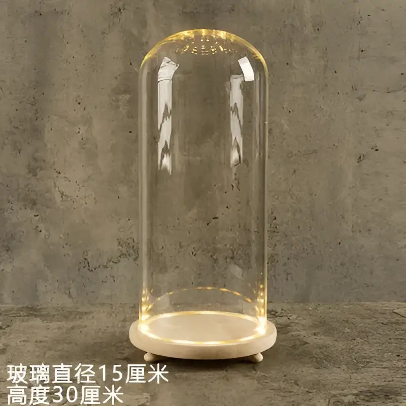 LED Glass Terrarium Vase - 15X30CM