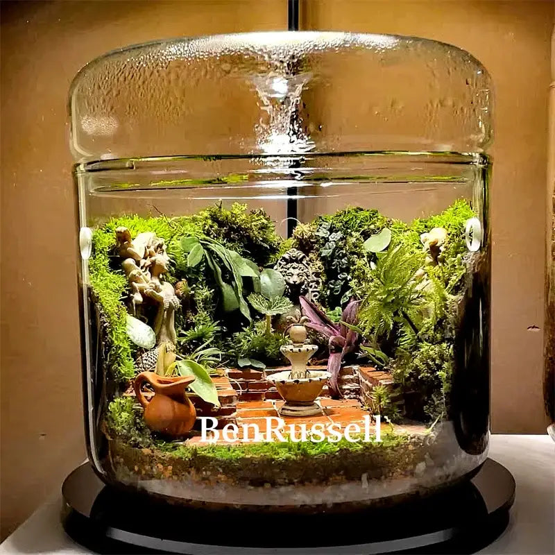 Glass Moss Terrarium Vase - 18mx23cm