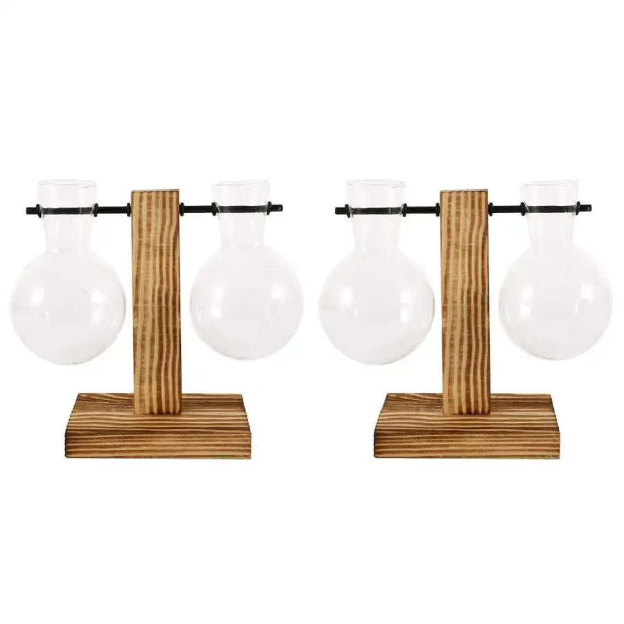 Glass Bulb Vase Set - 2Pcs Style B