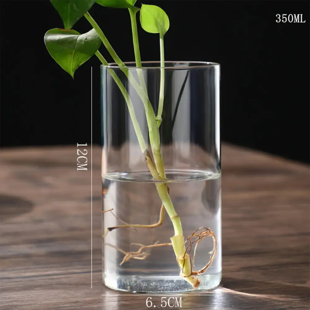 Clear Glass Flower Vase - 6.5x12cm