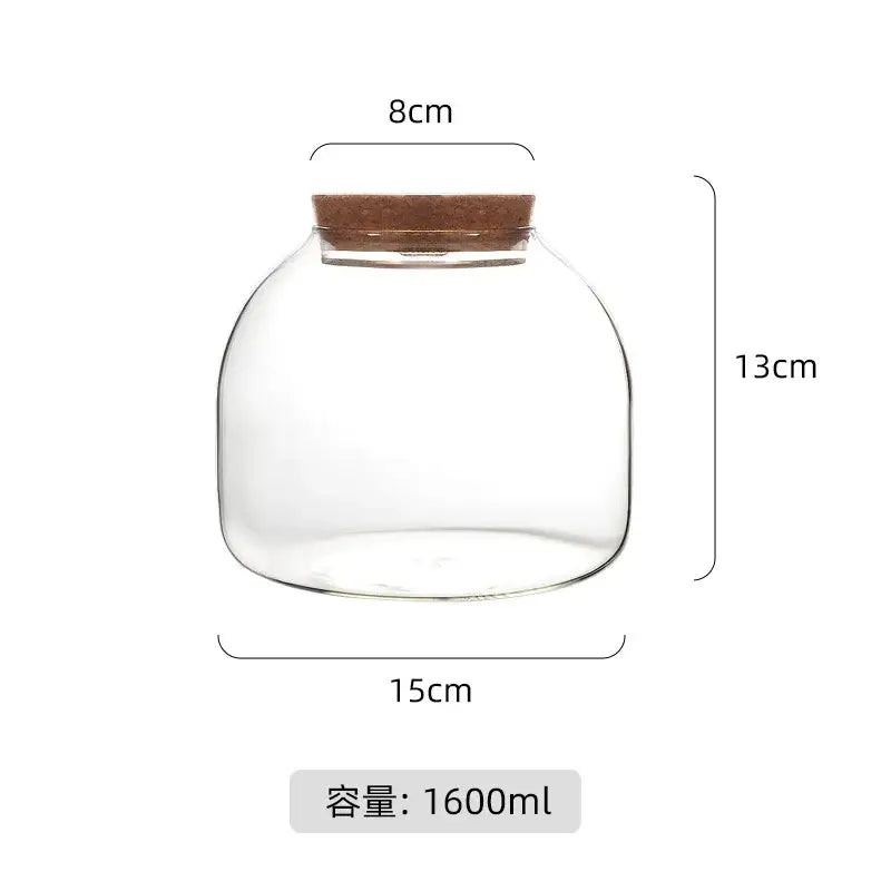 Moss Glass Vase Terrarium - 15X13cm With Cork