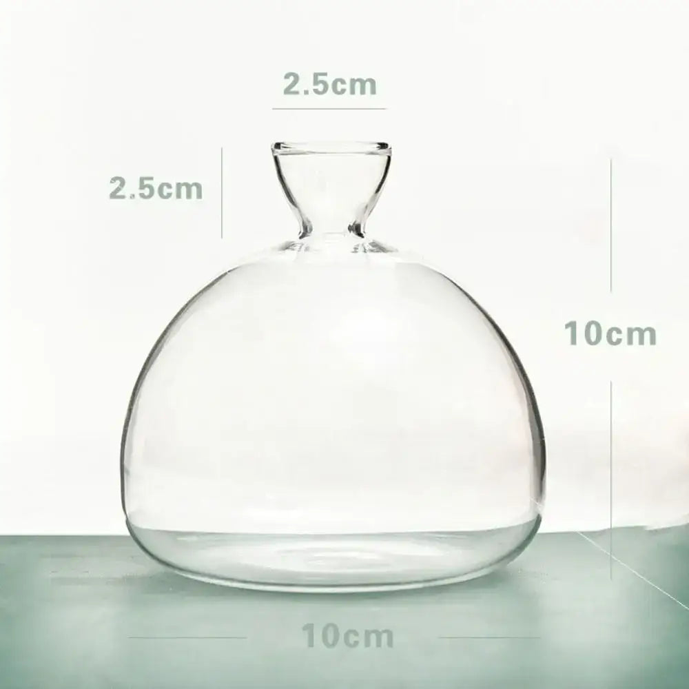 Clear Glass Avocado Vase - D