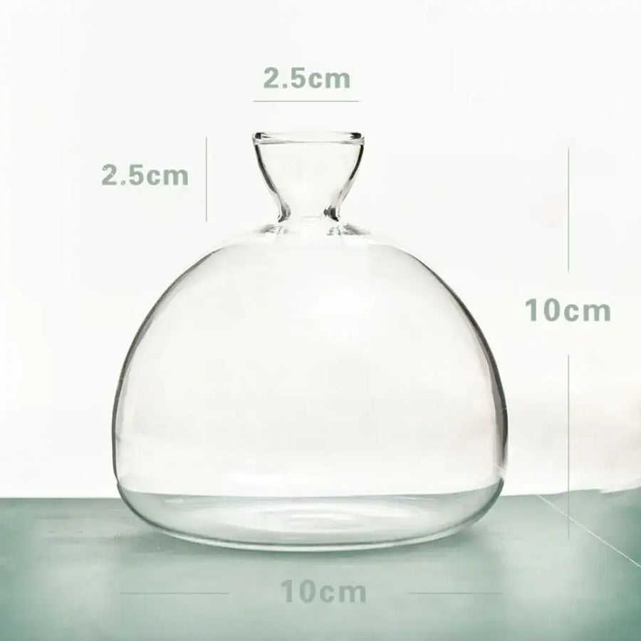 Clear Glass Avocado Vase - D