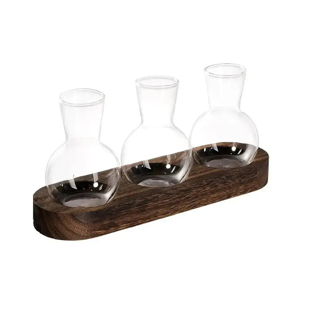 Glass Hydroponic Vase Set - A