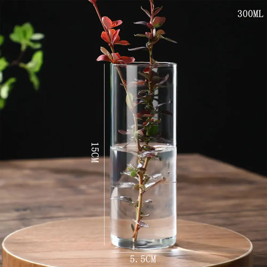 Glass Cylinder Hydroponic Vase - 5.5x15cm