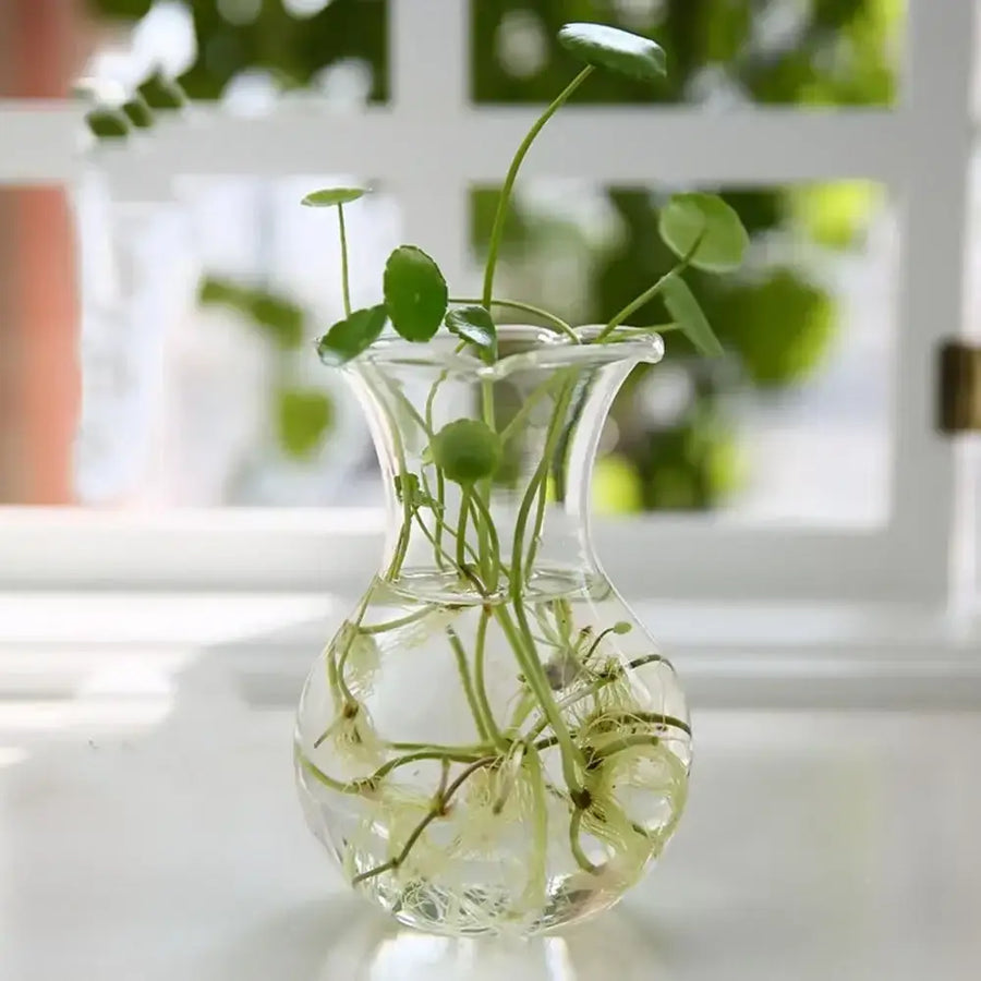 Glass Tapered Vase Terrarium - 10