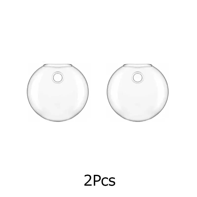 Clear Glass Wall Planter - 2PCS
