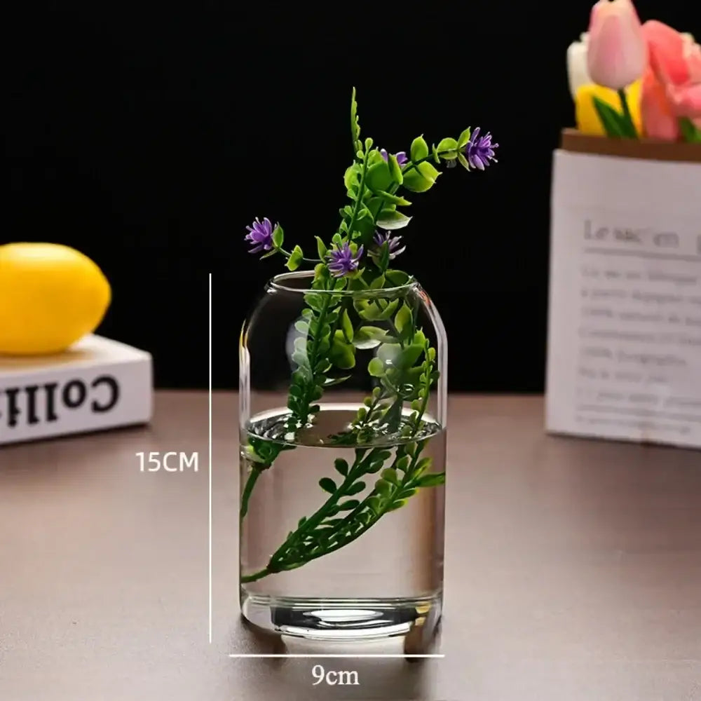 Glass Modern Hydroponic Vase - 1Pcs-M