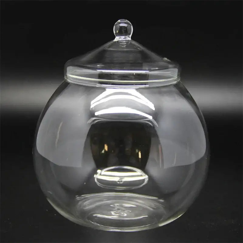Glass Moss Ball Terrarium - 15X15cm With Lid