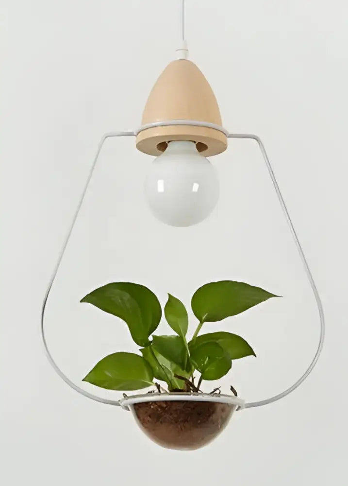 Black Pendant Planter Light - White / A