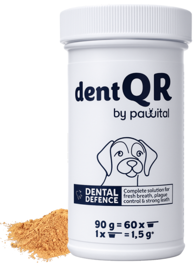Pawital dentQR – tägliche Zahnpflege für Ihren Hund