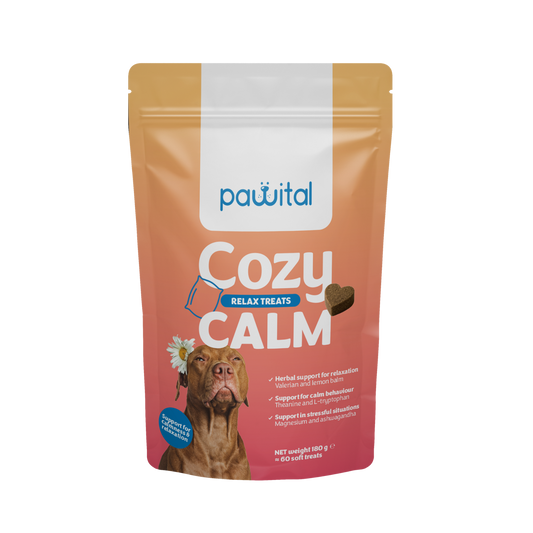Cozy Calm – Beruhigungs-Snack für Hunde