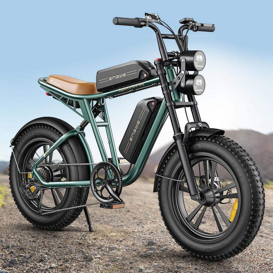 Engwe M20 750W 20-Inch Fat Tire Electric Mountain Bike