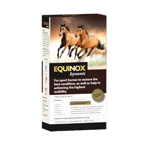 EQUINOX Dynamic – Flüssiges Zusatzfutter