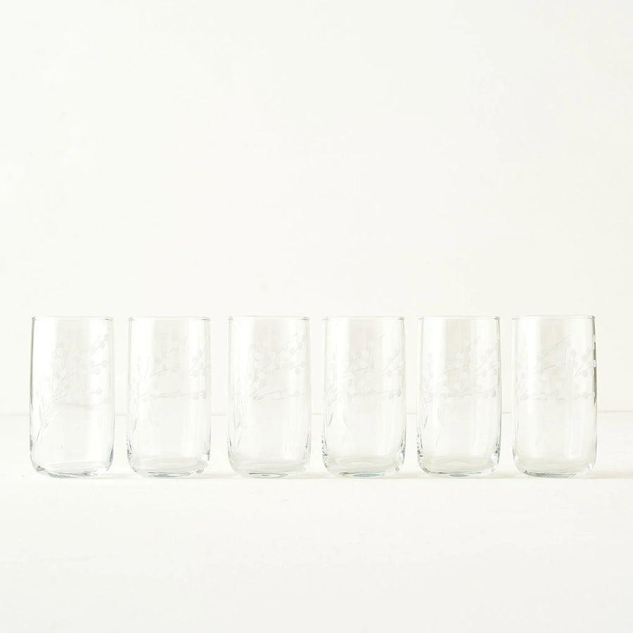 Exclusive Collection Floral Highball Glass (Set of 6)