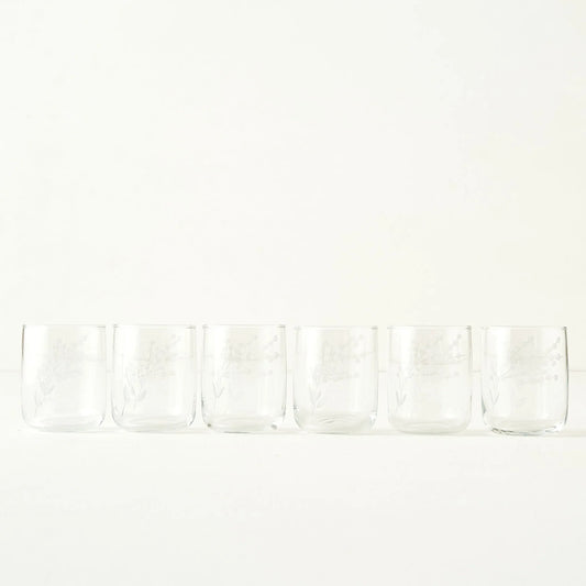 Exclusive Floral Etched Tumbler (Set of 6)